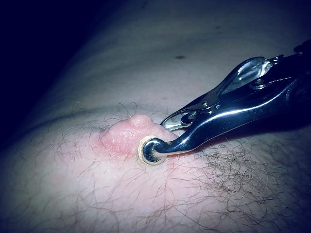 11P Nipple clamps