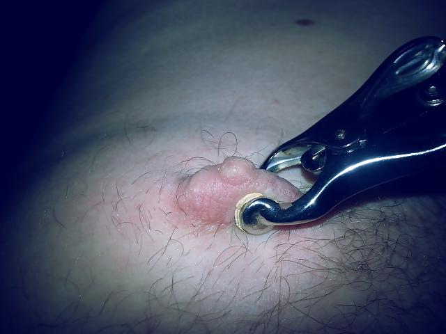 11P Nipple clamps