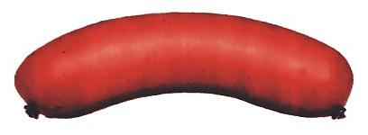 25P Rindswurst (Black Dick)