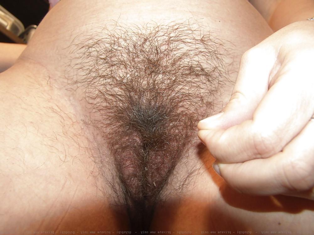 18P More Hairy Pussies I Want to Slip My Cock In