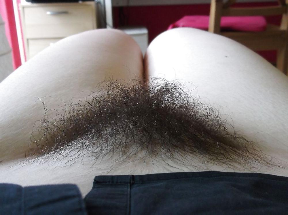 18P More Hairy Pussies I Want to Slip My Cock In