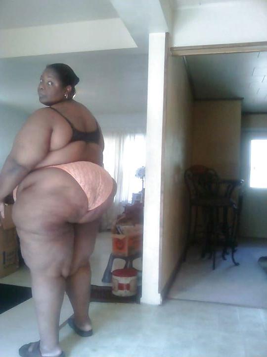 19P SWEET BBW MILFS