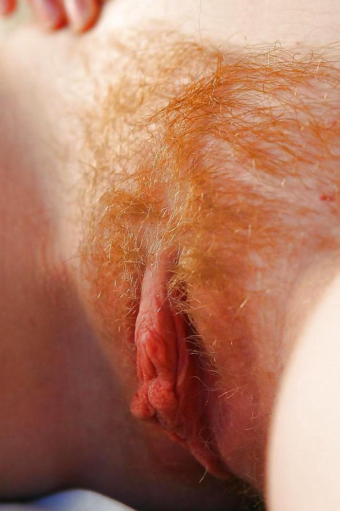 23P Red and hairy