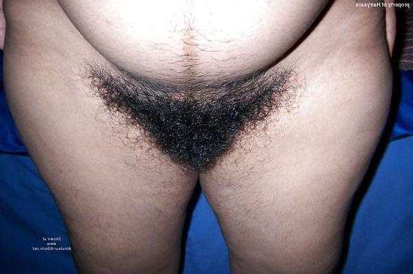 25P BBW Ass,Pussy,Tits