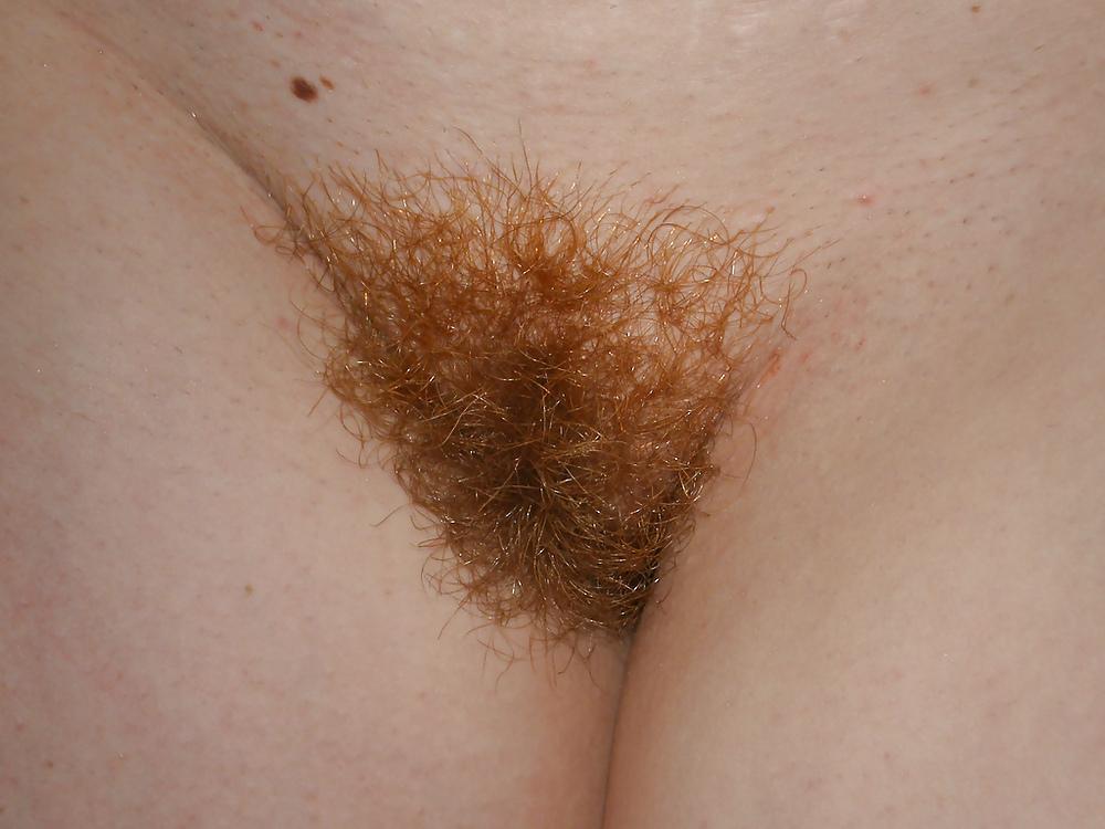 25P Redheads Red Brushes