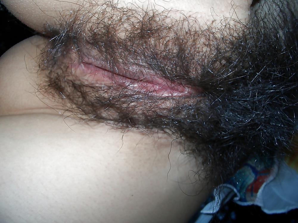 16P Hairy asian
