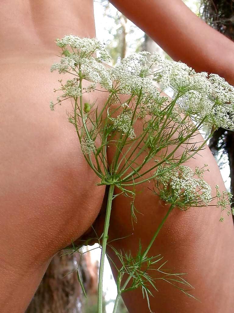 18P Nude in nature # 3