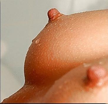 25P Nextup's Collections - Nipples
