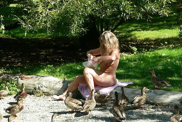 9P Feeding ducks
