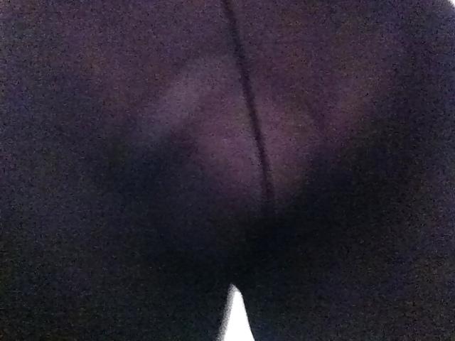 14P Tranny shemale tv cd dannidee
