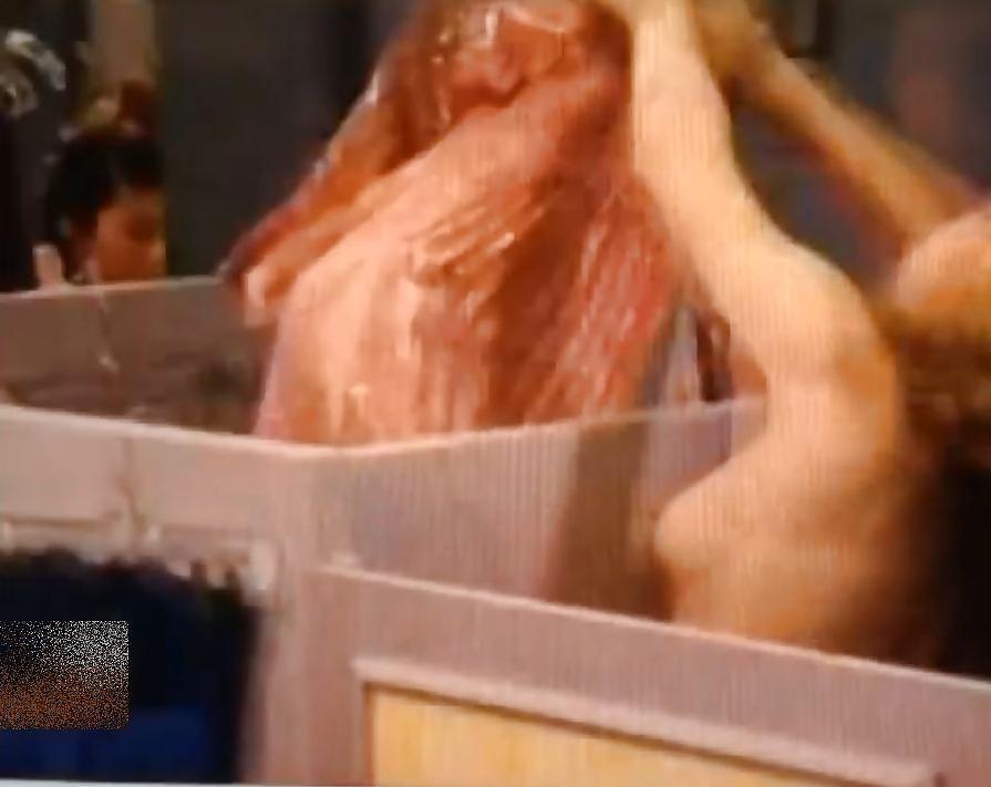 8P Celeb 012 - Jennette McCurdy - the Nip-Slip