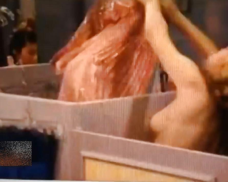 8P Celeb 012 - Jennette McCurdy - the Nip-Slip