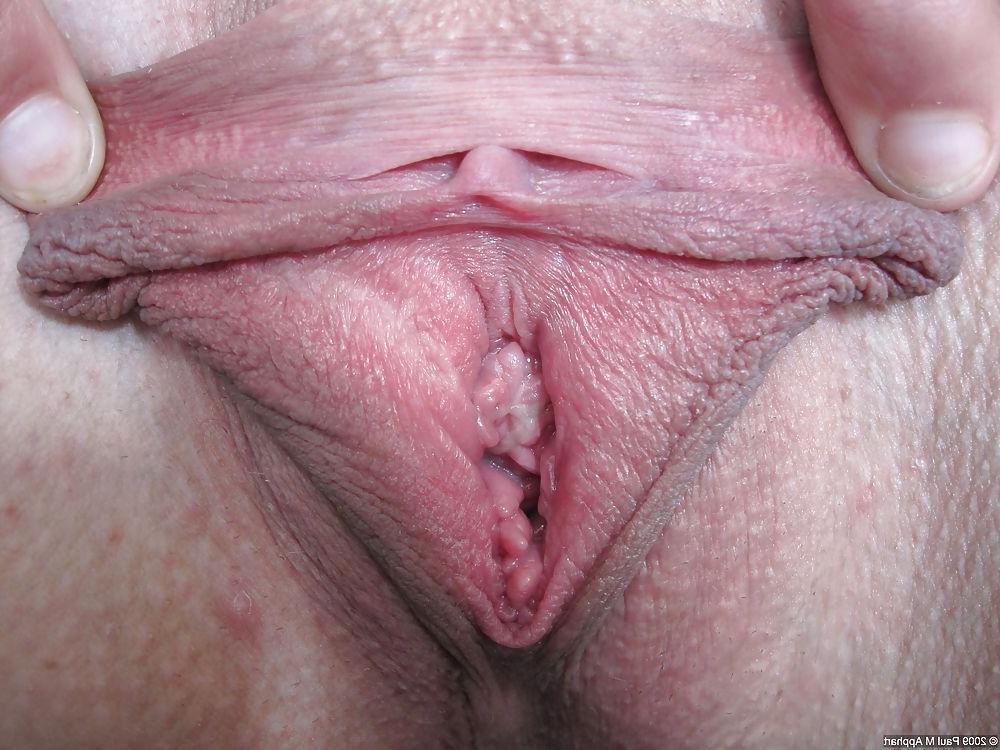 22P Examples of my labia photography