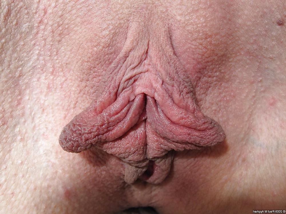 22P Examples of my labia photography