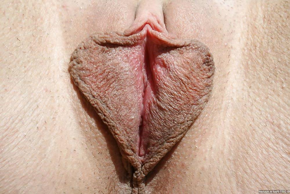 22P Examples of my labia photography