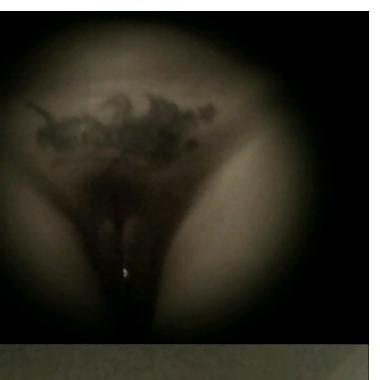 25P VANESSA THE HOE.....my neighbor.