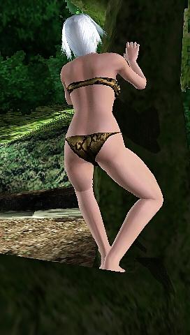 25P Dead or alive paradise