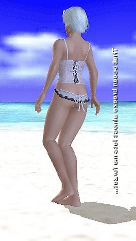 25P Dead or alive paradise