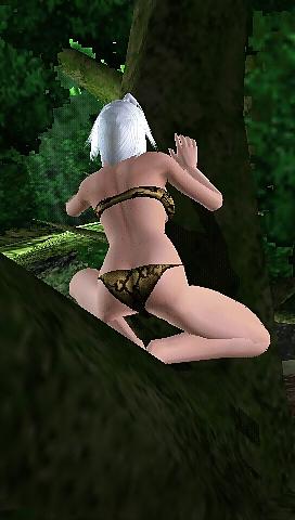 25P Dead or alive paradise