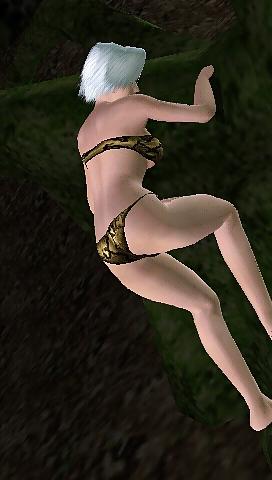25P Dead or alive paradise