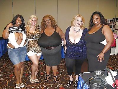 19P Gordas zexys bbw 2