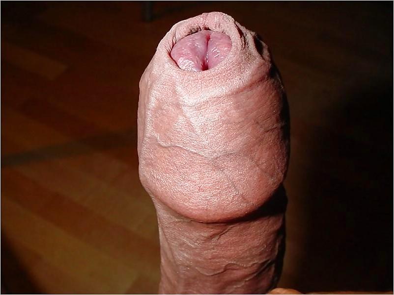 25P Uncut man cock