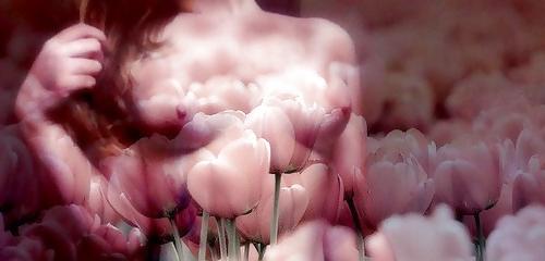 21P Nature 215