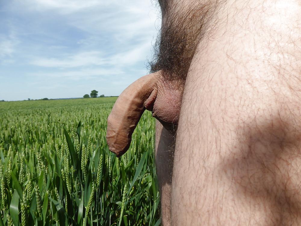 17P Naked in a public field seethrough mesh boxers & my cock out