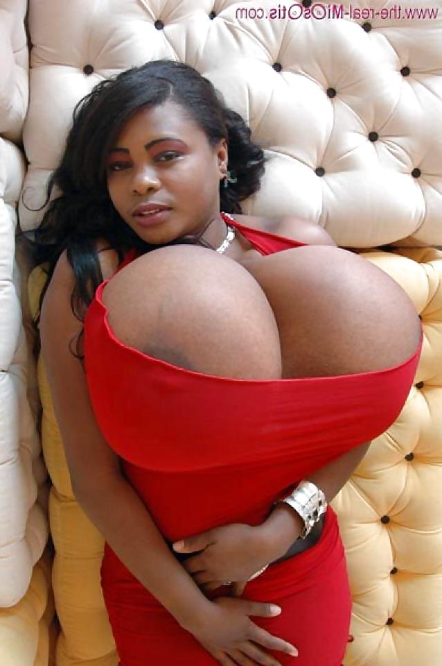 14P Bbw 18