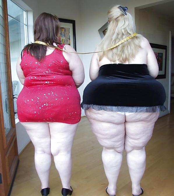 25P BBW 's Revenge