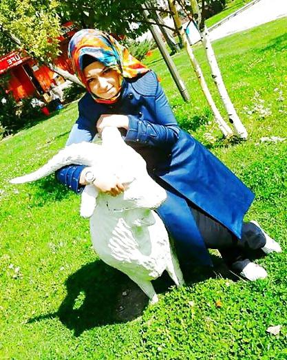 20P Turkish hijab