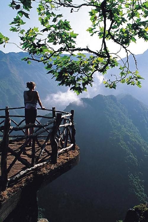 25P Women, nature and dreams 4