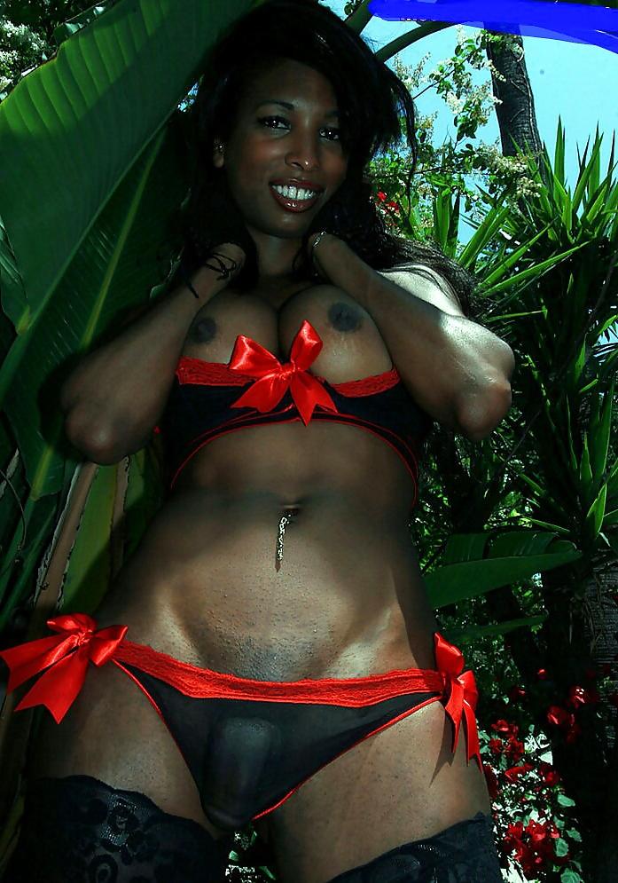 24P More black tranny dick.