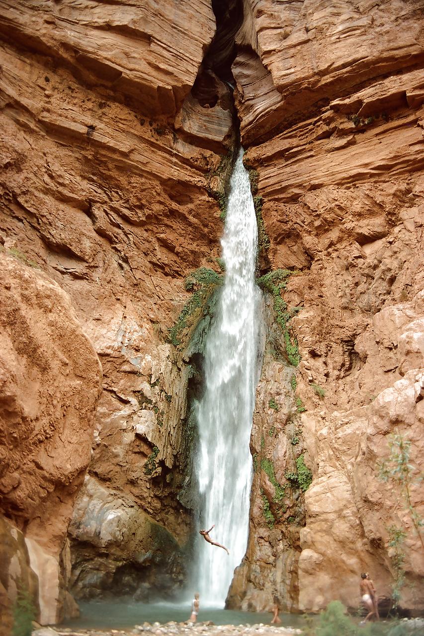 21P Nature 223