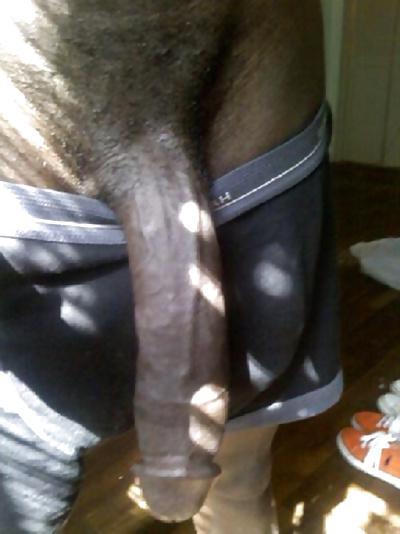24P Black men stud