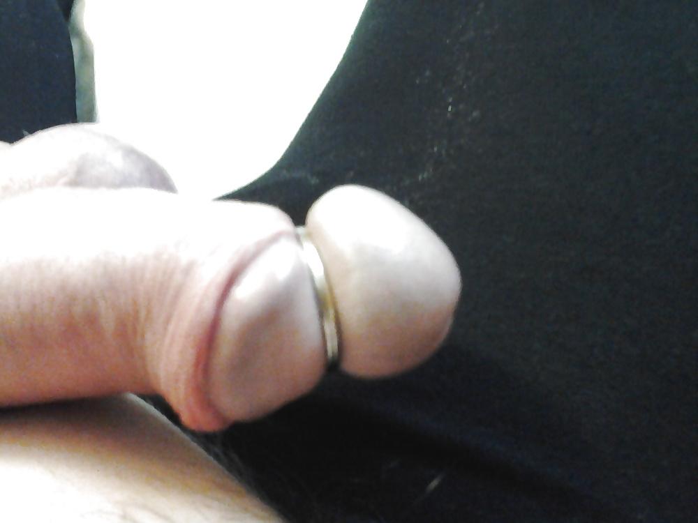 17P Tranny pic 