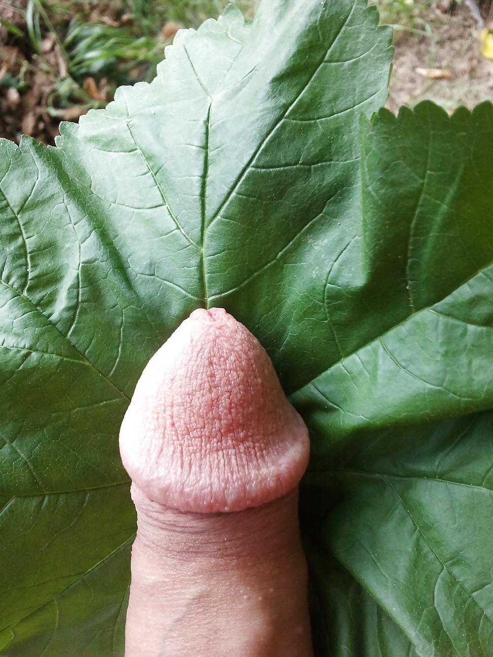 7P Nature et plaisir !