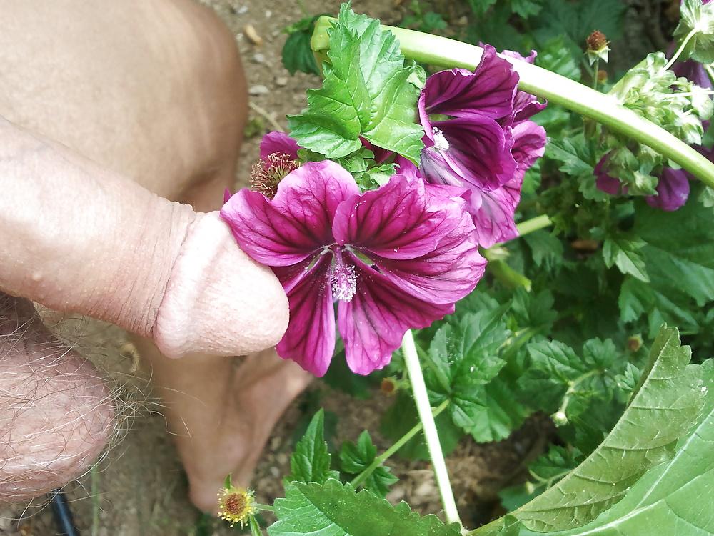 7P Nature et plaisir !
