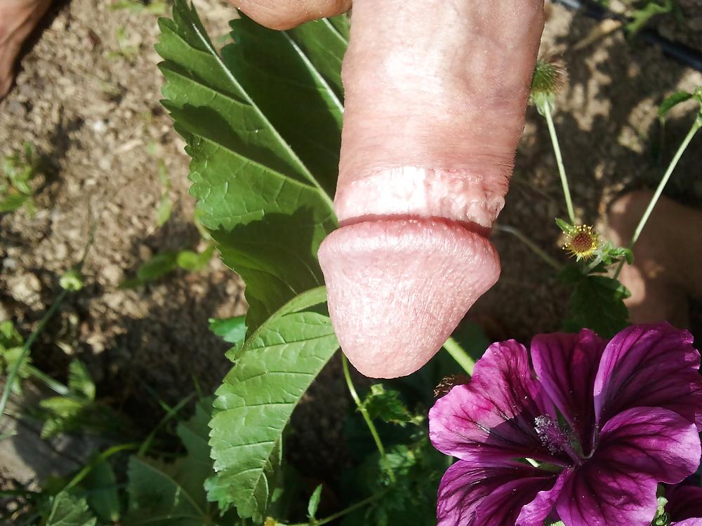 7P Nature et plaisir !