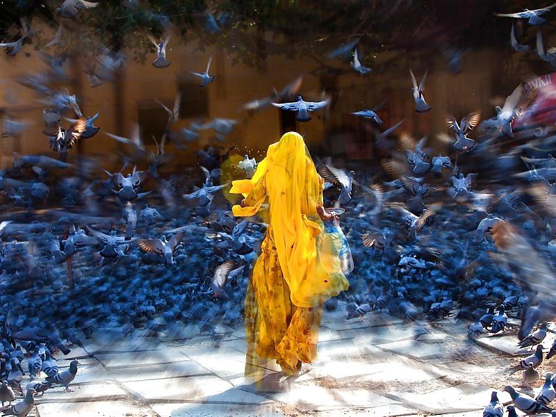 25P Women, nature and dreams 2