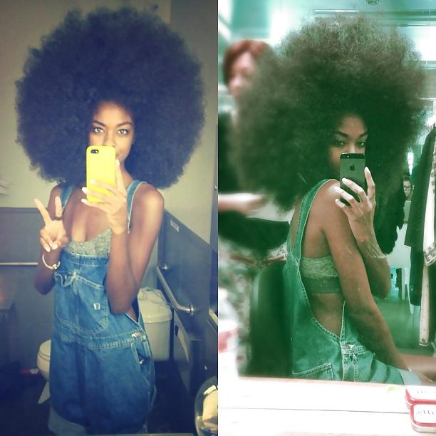 19P BLACK BEAUTIES VOL.22