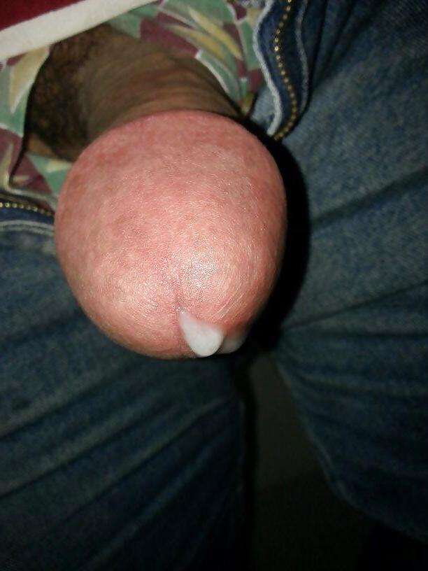 20P Turkish yarrak cock