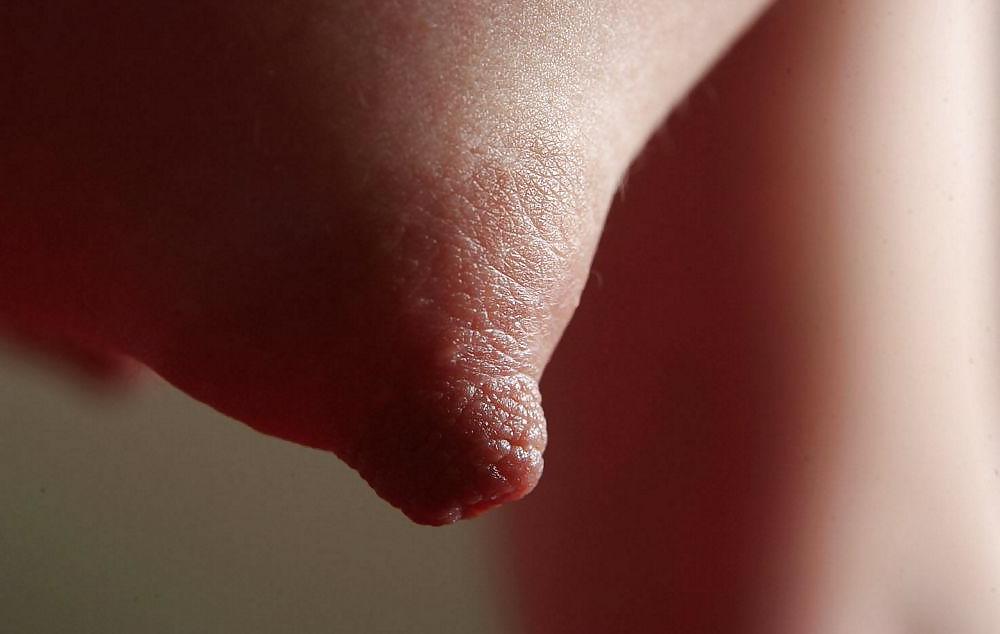 24P Nipples