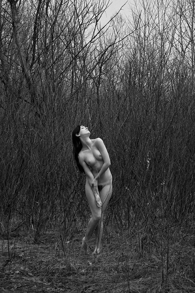 21P Nature 219