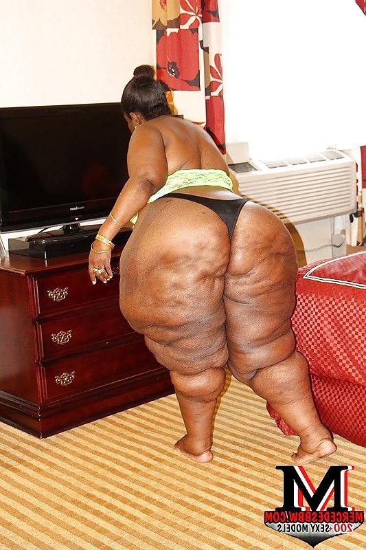 12P BBW Adult Entertainer #16 Big Sexy Azz Willy