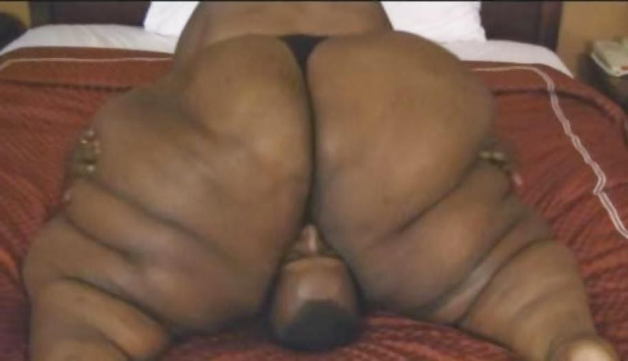 12P BBW Adult Entertainer #16 Big Sexy Azz Willy