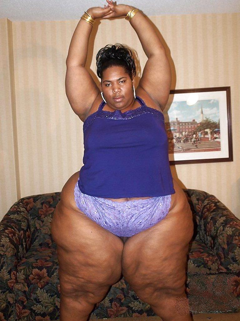 25P BBW COLLECTION PT120