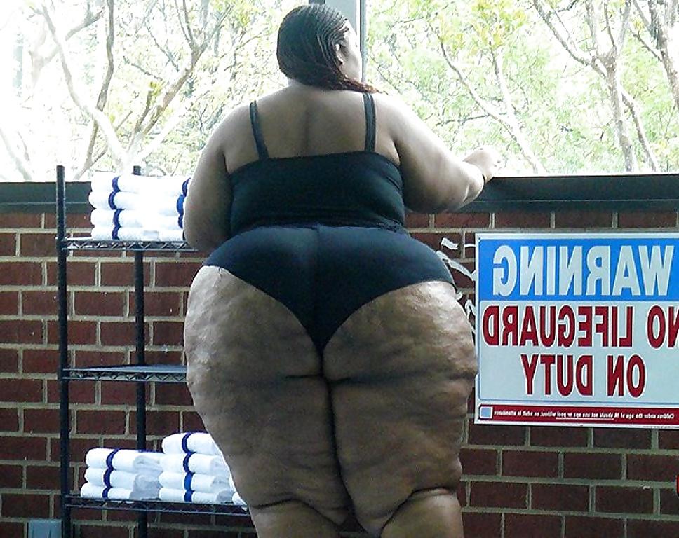 25P BBW COLLECTION PT120