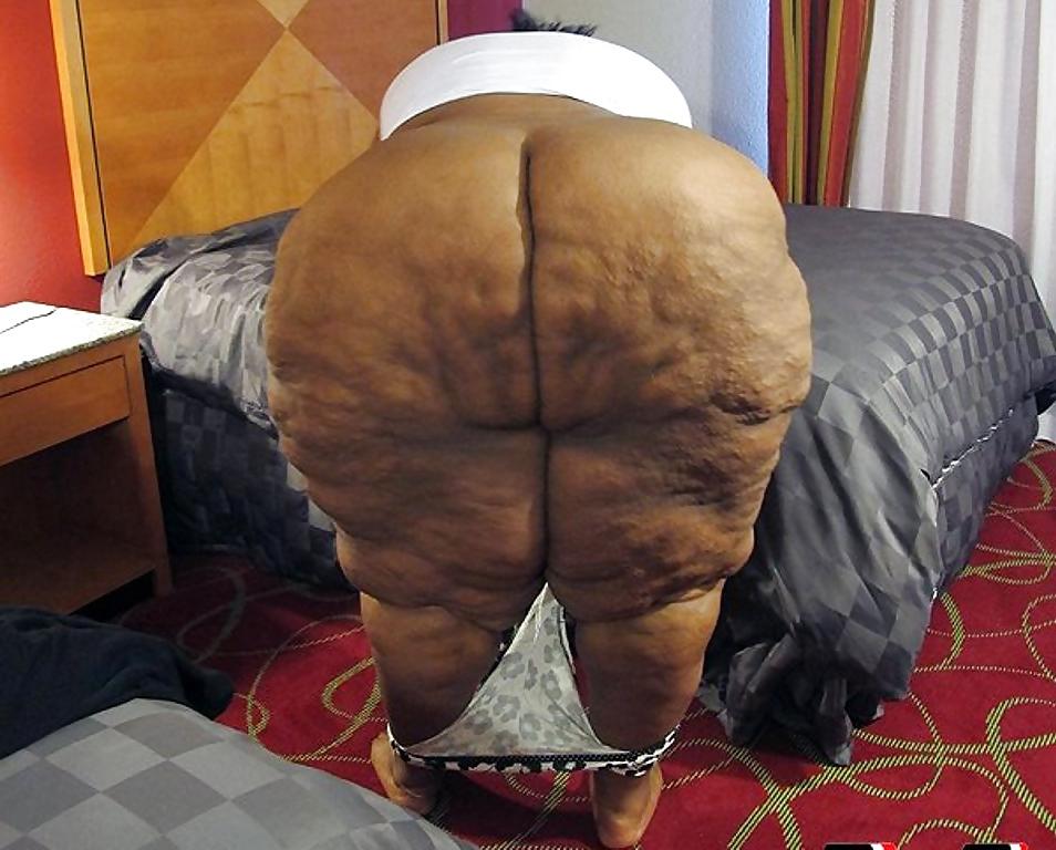 25P BBW COLLECTION PT120