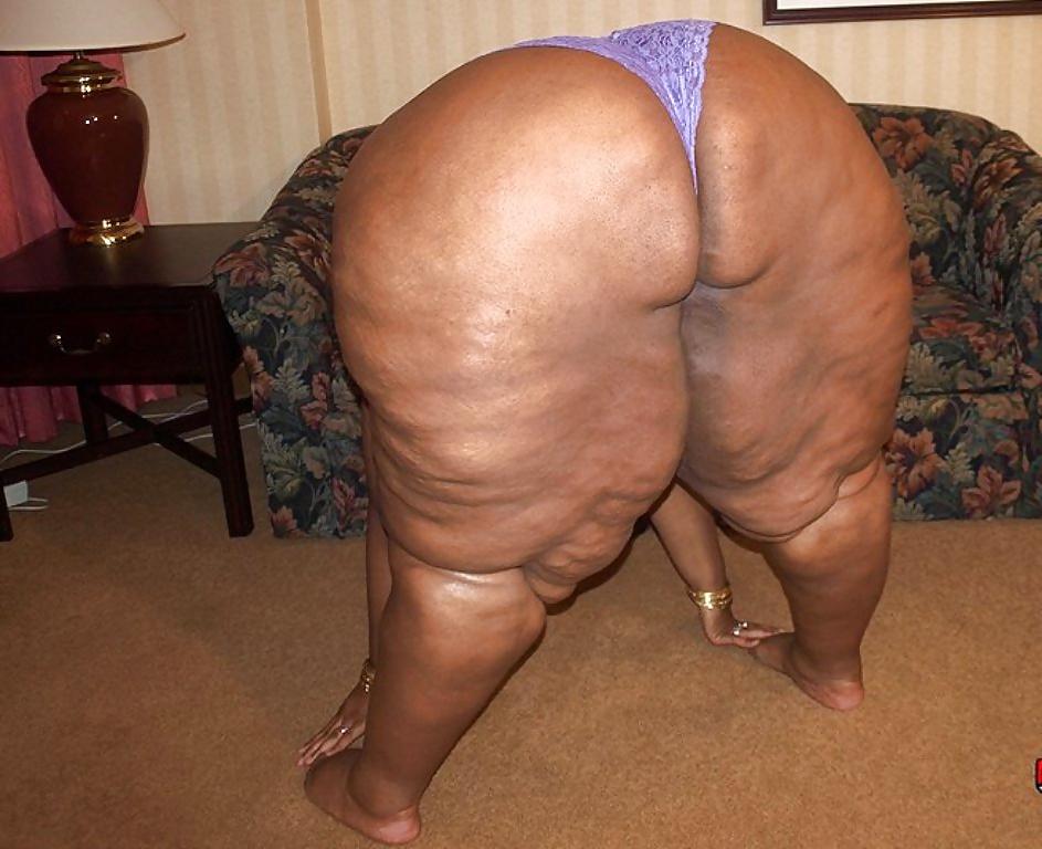 25P BBW COLLECTION PT120